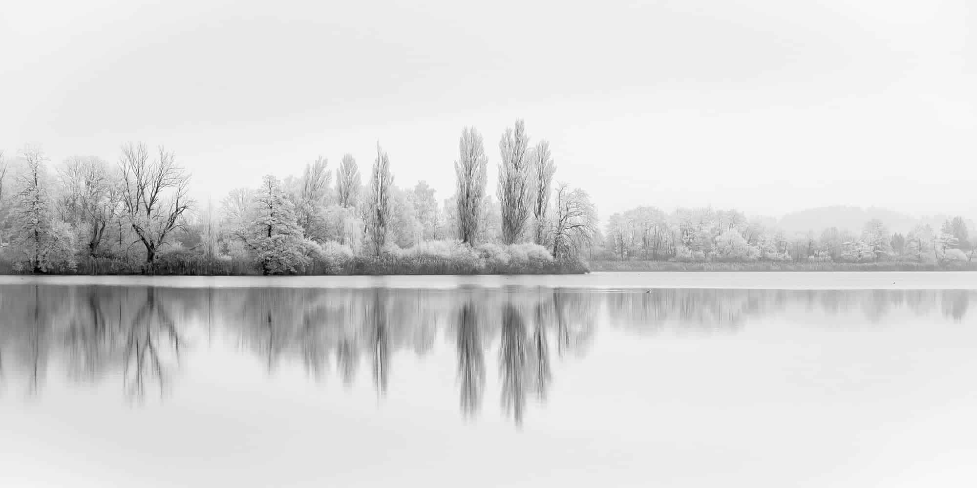 Frozen lake lined by ice covered trees